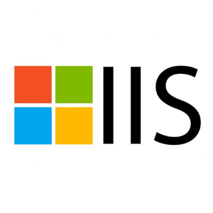MS IIS